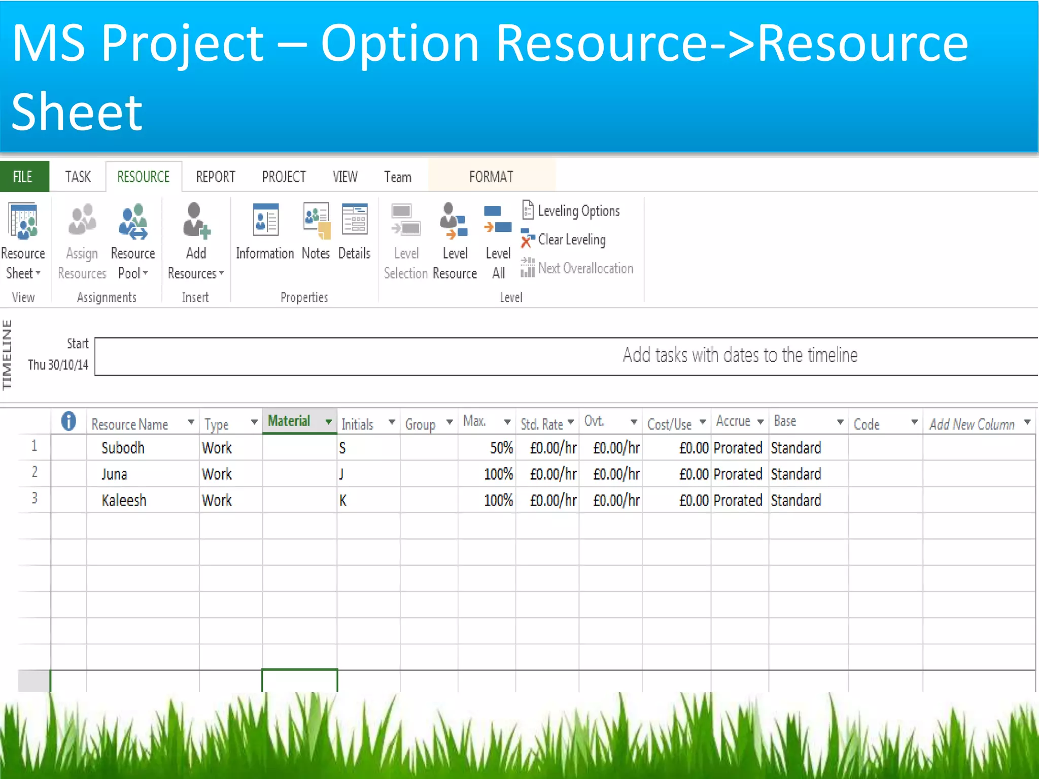 MS Project – Option Resource->Resource
Sheet
 