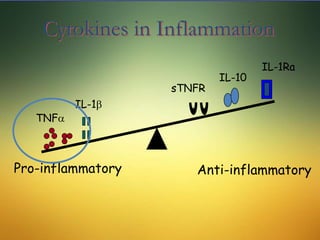 Cytokines in Inflammation
Pro-inflammatory Anti-inflammatory
TNFa
IL-1b
sTNFR
IL-10
IL-1Ra
 