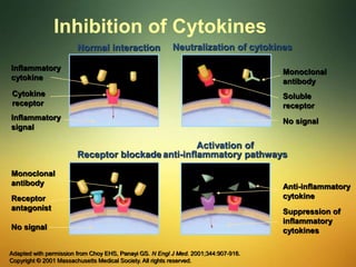 Adapted with permission from Choy EHS, Panayi GS. N Engl J Med. 2001;344:907-916.
Copyright © 2001 Massachusetts Medical Society. All rights reserved.
Inhibition of Cytokines
Inflammatory
cytokine
Normal interaction Neutralization of cytokines
Receptor blockade
Activation of
anti-inflammatory pathways
Cytokine
receptor
Soluble
receptor
Monoclonal
antibody
Monoclonal
antibody
Receptor
antagonist
Anti-inflammatory
cytokine
Suppression of
inflammatory
cytokines
No signal
No signal
Inflammatory
signal
 