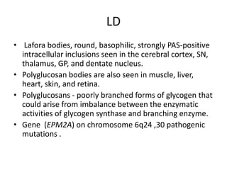 LDLafora bodies, round, basophilic, strongly PAS-positive intracellular inclusions seen in the cerebral cortex, SN, thalamus, GP, and dentate nucleus. Polyglucosan bodies are also seen in muscle, liver, heart, skin, and retina.Polyglucosans-poorly branched forms of glycogen that could arise from imbalance between the enzymatic activities of glycogen synthase and branching enzyme.Gene (EPM2A) on chromosome 6q24 ,30 pathogenic mutations . 