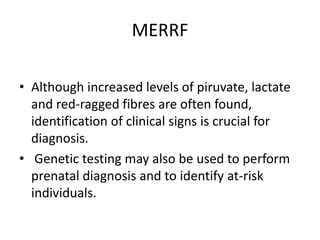 MERRFAlthough increased levels of piruvate, lactate and red-ragged fibres are often found, identification of clinical signs is crucial for diagnosis. Genetic testing may also be used to perform prenatal diagnosis and to identify at-risk individuals.