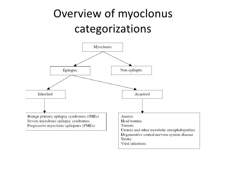 PROGRESSIVE MYOCLONIC EPILEPSY