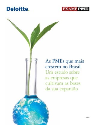 As PMEs que mais
crescem no Brasil
Um estudo sobre
as empresas que
cultivam as bases
da sua expansão




                    2010
 