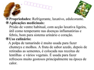 Propriedades:  Refrigerante, laxativo, edulcorante.  A plicações medicinais:   Prisão de ventre habitual, com acção laxativa ligeira, útil como temperante nas doenças inflamatórias e febris,   bom para sistema urinário e coração.  Uso culinário: A polpa de tamarindo é muito usada para fazer chutneys e molhos. A fruta de sabor azedo, depois de retiradas as sementes, é colocada nas receitas de lentilhas  e vários vegetais. É usada para fazer refrescos muito gostosos principalmente na época de calor.  