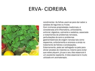 ERVA- CIDREIRA Também pode ser utilizada como planta  condimentar. As folhas usam-se para dar sabor a saladas de legumes ou frutas. Com inúmeras propriedades medicinais, é considerada anti-inflamatória, antioxidante, antiviral, digestiva, calmante e sedativa, associada a tratamentos de problemas nervosos, perturbações do sono e problemas gastrointestinais de origem nervosa tais como espasmos, enfartamento e anorexia e ainda no tratamento de febres e constipações.  Externamente, pode ser esfregada na pele para aliviar picadas de insectos ou mesmo para evitar que estes piquem, já que o seu óleo essencial é um excelente repelente. O óleo essencial é muito utilizado em aromaterapia.  