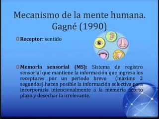 Mecanismo de la mente humana.
Gagné (1990)
0 Receptor: sentido
0 Memoria sensorial (MS): Sistema de registro
sensorial que mantiene la información que ingresa los
receptores por un periodo breve (máximo 2
segundos) hacen posible la información selectiva para
incorporarla intencionalmente a la memoria acorto
plazo y desechar la irrelevante.
 