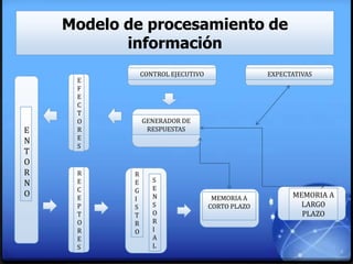 Modelo de procesamiento de
información
E
N
T
O
R
N
O
E
F
E
C
T
O
R
E
S
R
E
C
E
P
T
O
R
E
S
GENERADOR DE
RESPUESTAS
R
E
G
I
S
T
R
O
S
E
N
S
O
R
I
A
L
MEMORIA A
CORTO PLAZO
MEMORIA A
LARGO
PLAZO
CONTROL EJECUTIVO EXPECTATIVAS
 