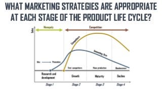 WHAT MARKETING STRATEGIES ARE APPROPRIATE
AT EACH STAGE OF THE PRODUCT LIFE CYCLE?
 