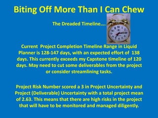 Project Reflections