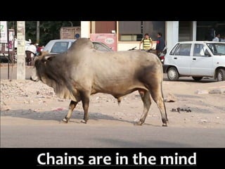 Chains are in the mind
 