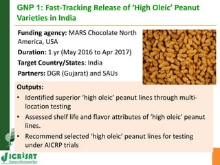 Asia Regional Planning Meeting-Current Project Portfolio and Outputs for Grain Legumes by Dr Pooran M Gaur