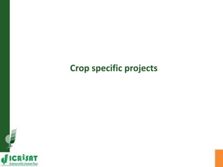 Asia Regional Planning Meeting-Current Project Portfolio and Outputs for Grain Legumes by Dr Pooran M Gaur