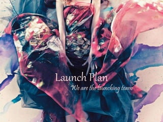 Launch Plan
We are the launching team
 