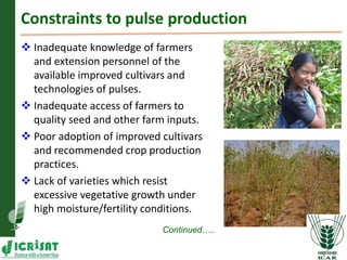 Asia Regional Program Planning Meeting- Achieving self sufficiency in pulse production in India by Dr Pooran M Gaur