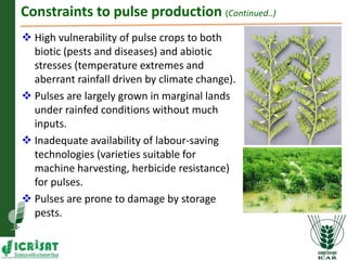 Asia Regional Program Planning Meeting- Achieving self sufficiency in pulse production in India by Dr Pooran M Gaur