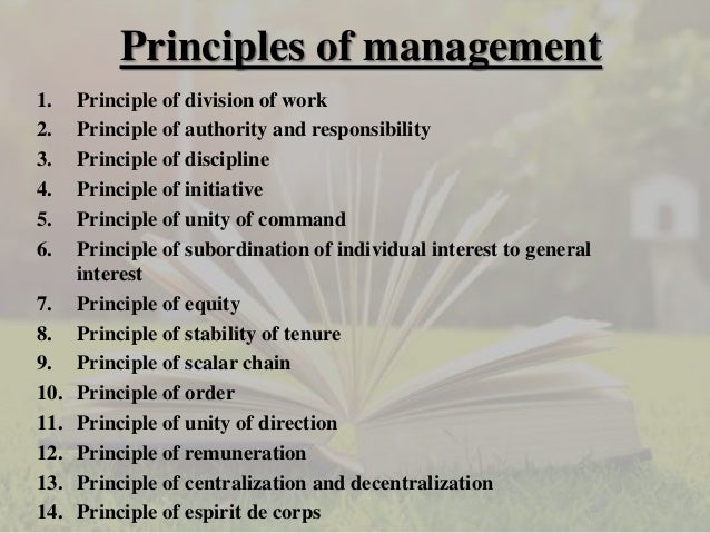 Principle Of Management In Hindi Pdf