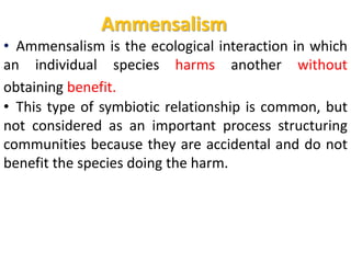 Ammensalism
• Ammensalism is the ecological interaction in which
an individual species harms another without
obtaining benefit.
• This type of symbiotic relationship is common, but
not considered as an important process structuring
communities because they are accidental and do not
benefit the species doing the harm.
 