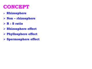 CONCEPT
 Rhizosphere
 Non – rhizosphere
 R : S ratio
 Rhizosphere effect
 Phyllosphere effect
 Spermosphere effect
 