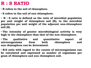 R : S RATIO
• R refers to the soil of rhizosphere.
• S refers to the soil of non rhizosphere.
• R : S ratio is defined as the ratio of microbial population
per unit weight of rhizosphere soil (R), to the microbial
population per unit weight of the adjacent non-rhizosphere
soil (S).
• The intensity of greater microbiological activity is very
high in the rhizosphere than that of the non rhizosphere.
• The qualitative and quantitative aspect of
microorganisms from both rhizosphere and
non rhizosphere can be determined.
• R:S ratio with regard to the counts of microorganisms can
be calculated and expressed as number of organisms per
gram of rhizosphere and non rhizosphere soil.
 
