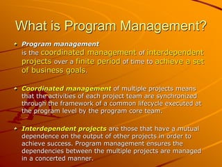 Project Management vs. Program Management: Strategies for Transition ...