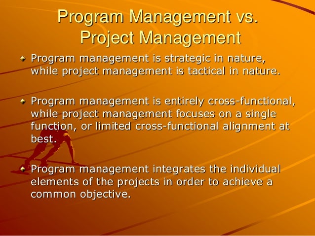 Project Management vs. Program Management: Strategies for Transition