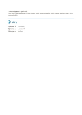 Company 3 (2011 - present)
Proin mattis, lorem egestas tristique feugiat, turpis massa adipiscing nulla, sit amet hendrerit libero arcu
malesuada felis.
Skills
Diploma 1: Advanced
Diploma 2: Advanced
Diploma 3: Medium
 
