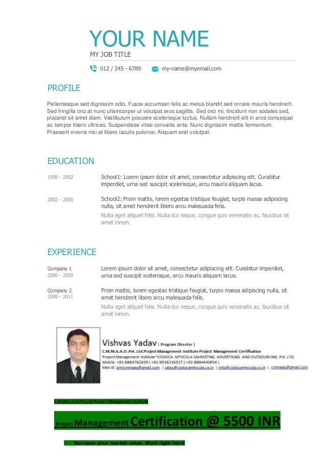 pmi pmp resume template2 pmp sample resumes