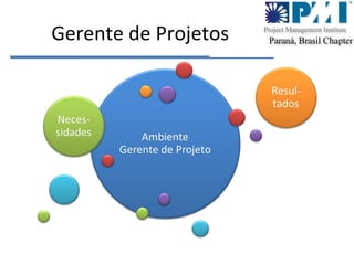 Gerente de Projetos 