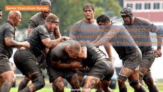 64% of Senior Executives stated that it
was Essential or Very Important to create
a culture that values Project Management
© Copyright 2016 Binfire
Senior Executives Survey
 