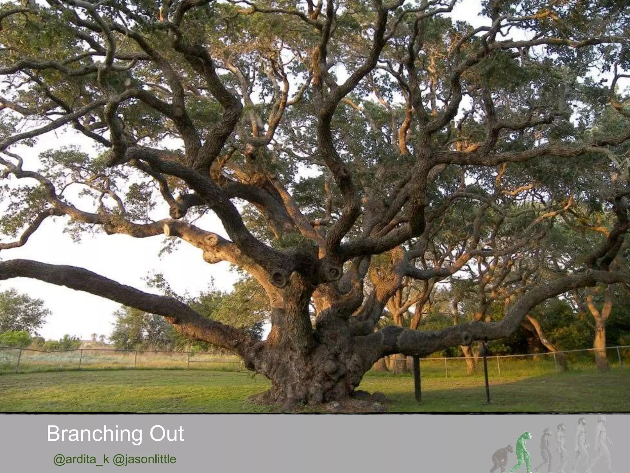 @ardita_k @jasonlittle
Branching Out
 