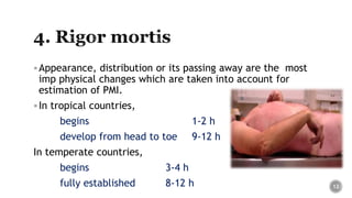 Appearance, distribution or its passing away are the most
imp physical changes which are taken into account for
estimation of PMI.
In tropical countries,
begins 1-2 h
develop from head to toe 9-12 h
In temperate countries,
begins 3-4 h
fully established 8-12 h 12
 