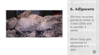 Shortest recorded
period in winter is
3 days 22hrs and
in summer 3
weeks
Whole body gets
converted to
adipocere in 1
year.
14
 