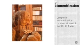 Complete
mummification
requires at least 3
months to 1 year
15
 