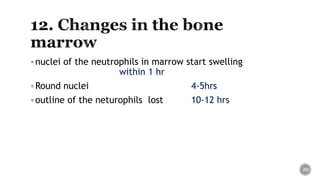 nuclei of the neutrophils in marrow start swelling
within 1 hr
Round nuclei 4-5hrs
outline of the neturophils lost 10-12 hrs
20
 