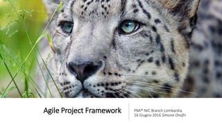 Agile Project Framework PMI®-NIC Branch Lombardia
16 Giugno 2016 Simone Onofri
 