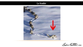 Le leader
 