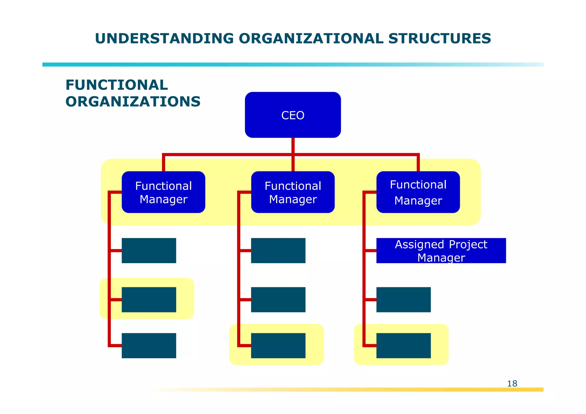 Template:NP00-00-000-ZP-A-PT-0001-000A01
UNDERSTANDING ORGANIZATIONAL STRUCTURES
Functional
Manager
Assigned Project
Manager
Functional
Manager
Functional
Manager
CEO
FUNCTIONAL
ORGANIZATIONS
18
 