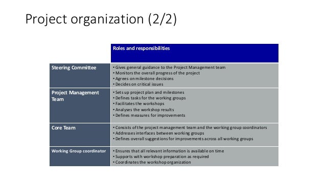 Pmi Part 1 Organizational Review Company Xxx