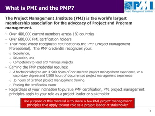 PMI Project Management Principles | PPTX