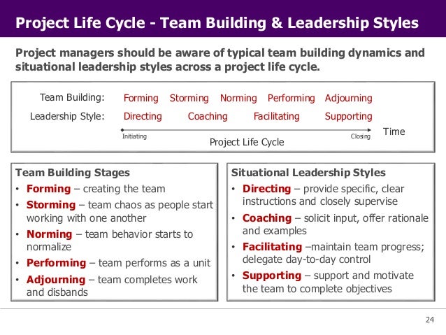 pmi project management principles project management principles