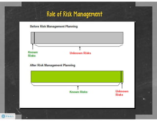PMI Project Risk Management | PDF