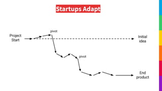 Startups Adapt
 