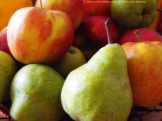 http://commons.wikimedia.org/wiki/File:Pears_%26_Apples.jpg




                                                              25
 