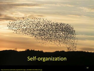 Self-organization
                                                                        32
http://commons.wikimedia.org/wiki/File:Fugle,_%C3%B8rns%C3%B8_073.jpg
 