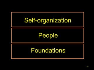 Self-organization

     People

  Foundations

                    37
 