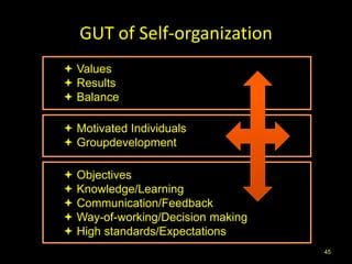 GUT of Self-organization
 Values
 Results
 Balance

 Motivated Individuals
 Groupdevelopment

 Objectives
 Knowledge/Learning
 Communication/Feedback
 Way-of-working/Decision making
 High standards/Expectations
                                   45
 