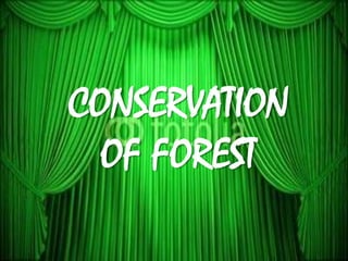 CONSERVATION
OF FOREST
 