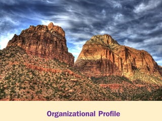 Organizational Profile

1

 