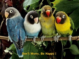 แนวทางการเขียนข้อคิดเห็น - PMK internal assessor 6 