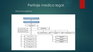 Estructura orgánica.
Peritaje medico legal.
 